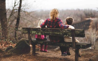 Protective Orders and TPOs: How They Impact Family and Criminal Cases